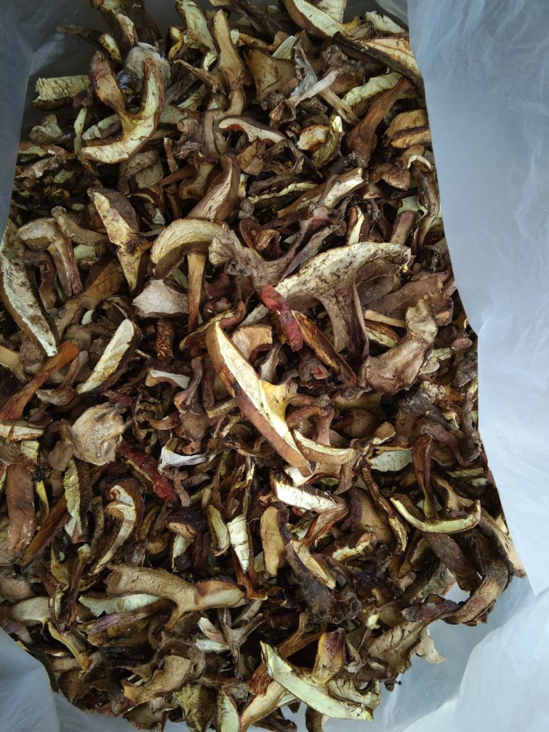 食用菌干货