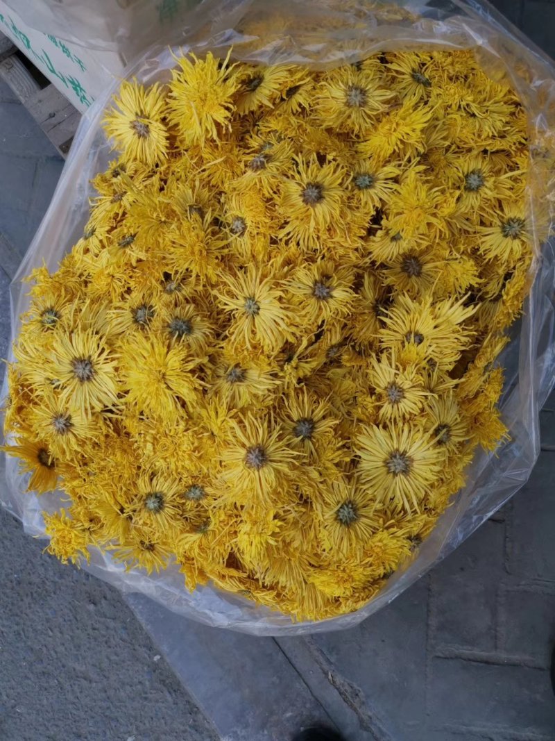 菊花茶