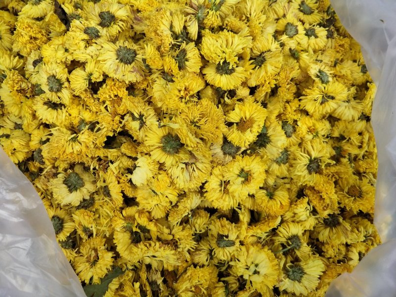 菊花茶