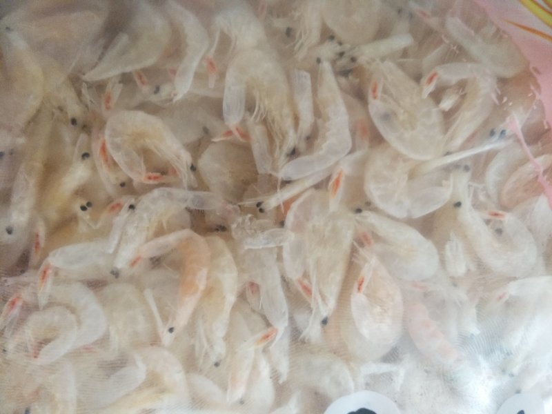 大虾皮