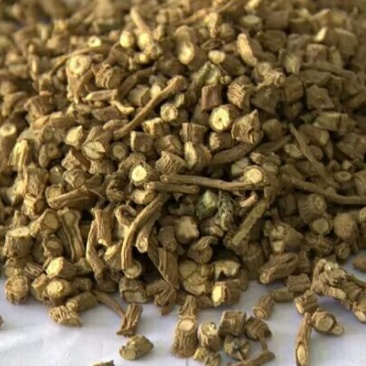 柴胡正品大量供应批发零售