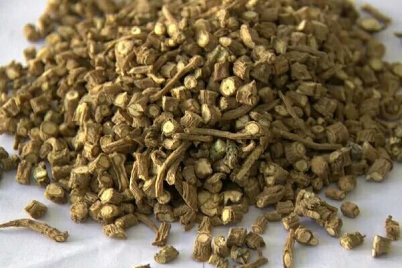 柴胡正品大量供应批发零售