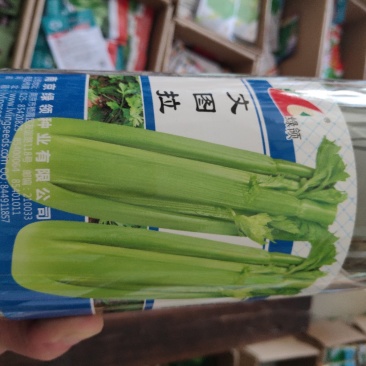 芹菜种子一绿领文图拉