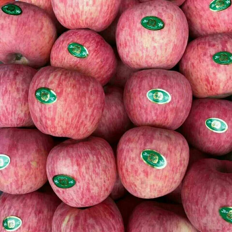 美八苹果质量很好货源充足今天价格又便宜了