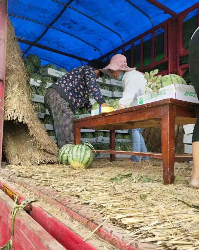 河南省祥符区美都🍉西瓜大量供应