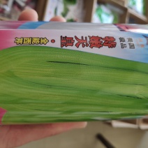 芹菜种子一特嫩天皇全能西芹王