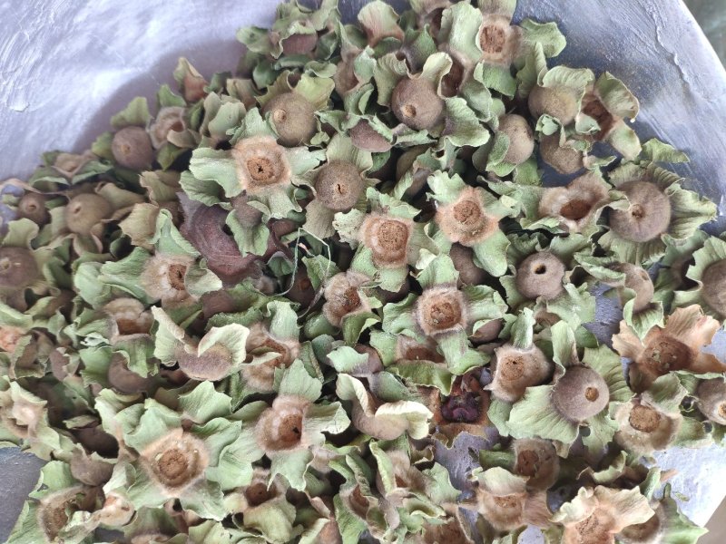 柿蒂代抓药方柿子蒂货好量大代抓各种药方