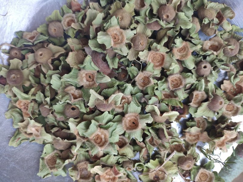 柿蒂代抓药方柿子蒂货好量大代抓各种药方