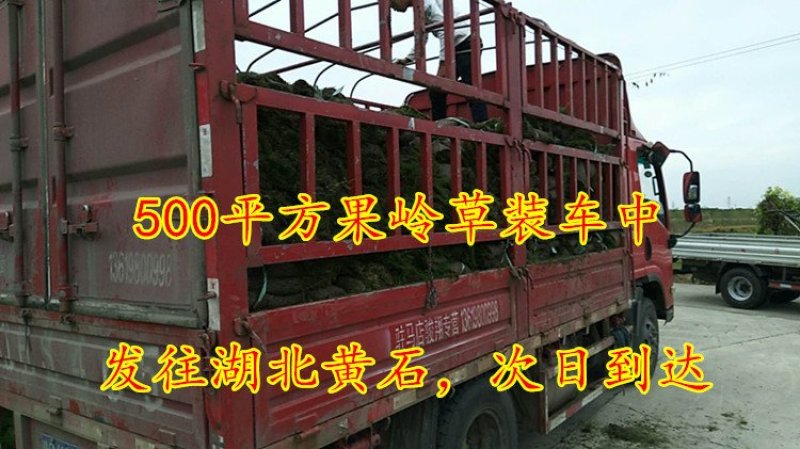 郴州回生园林8万亩草皮基地