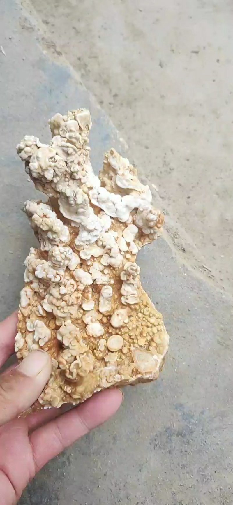 钟乳石
