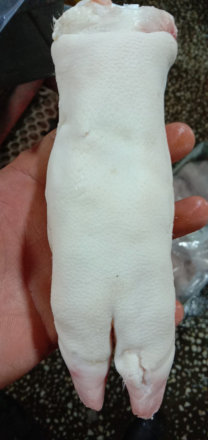 猪蹄