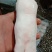 猪蹄