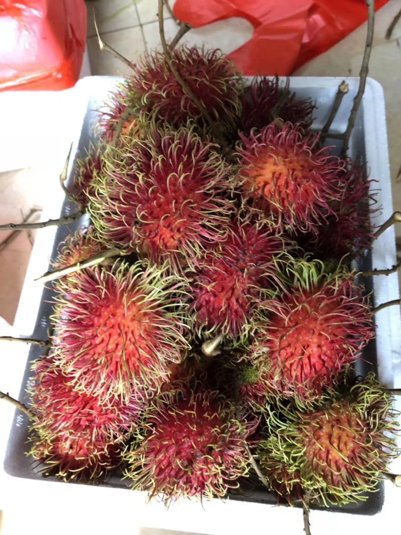 泰国红毛丹5斤包邮一件代发