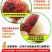 泰国红毛丹5斤包邮一件代发