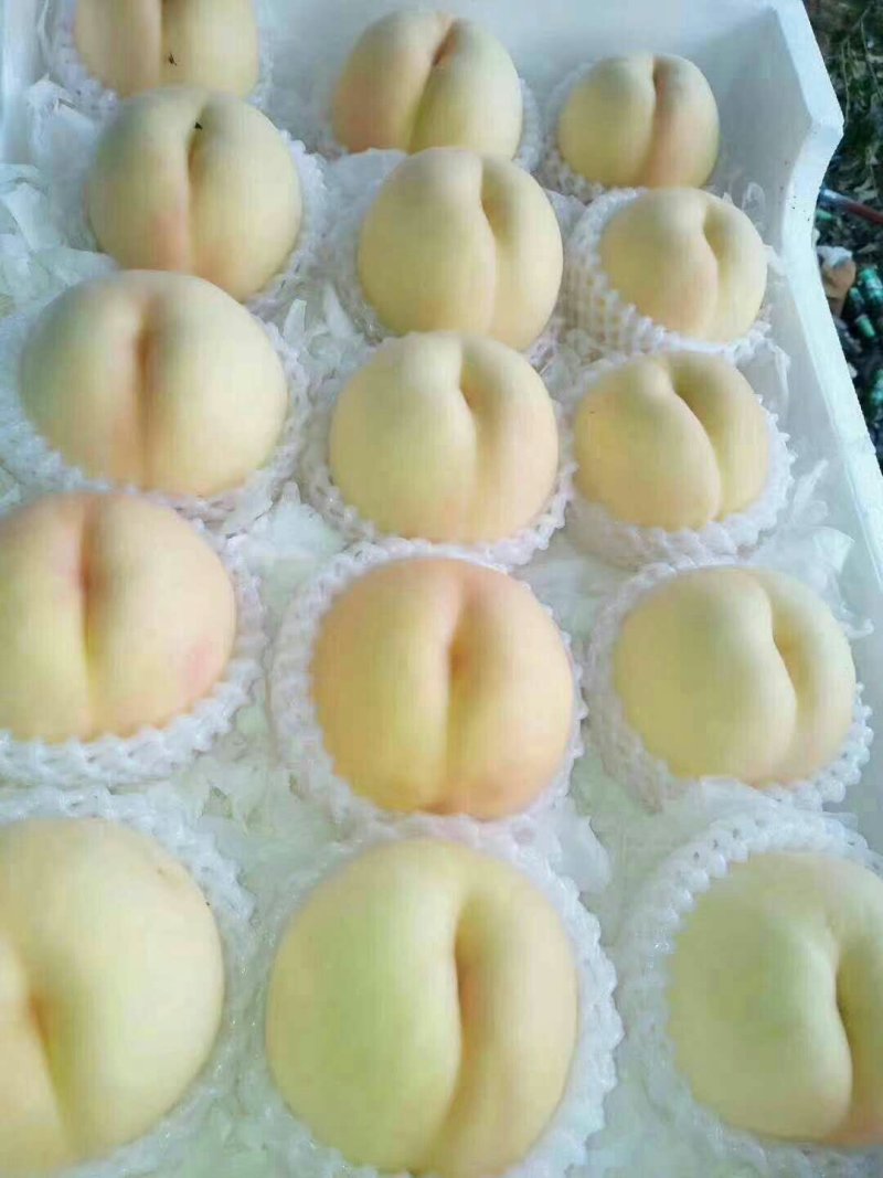 突围水蜜桃大量供应，品质让你吓一跳