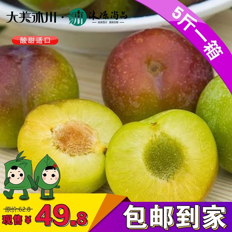 （预售）新鲜现摘水果沐川李江干李半边红脆红李有机李子