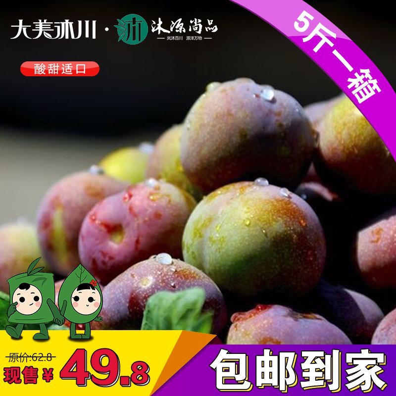 （预售）新鲜现摘水果沐川李江干李半边红脆红李有机李子