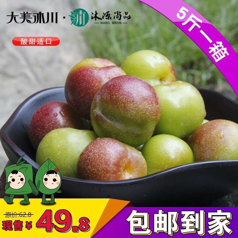 （预售）新鲜现摘水果沐川李江干李半边红脆红李有机李子