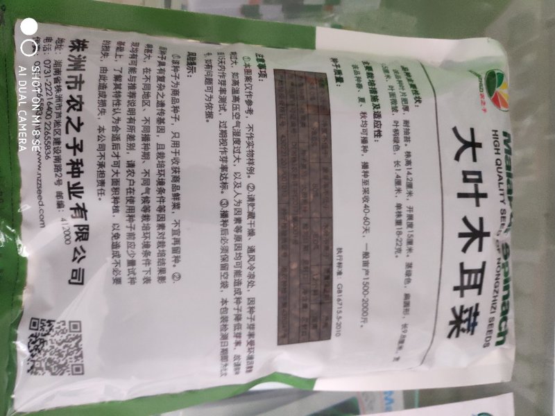 木耳菜种子大叶木耳菜种子