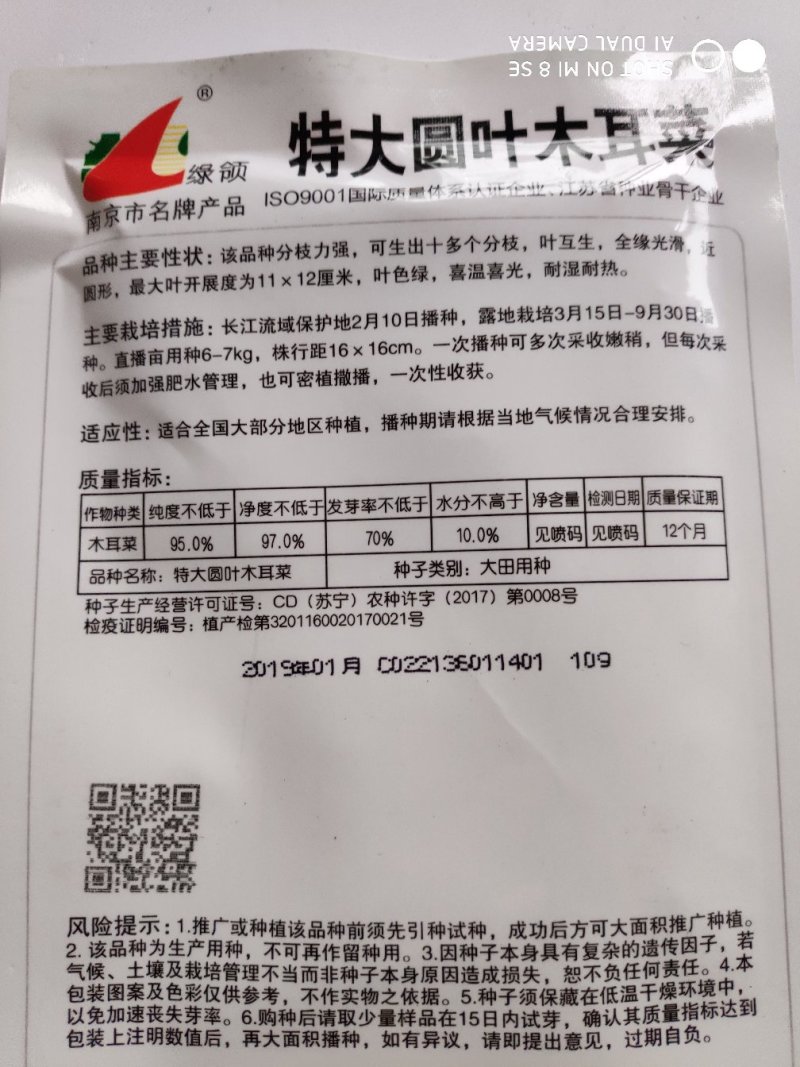 木耳菜种子绿领特大圆叶木耳菜种子
