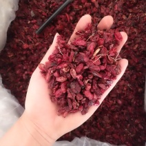 振兴药材批发供应山萸肉规格齐全产地直供一手货源全国发货
