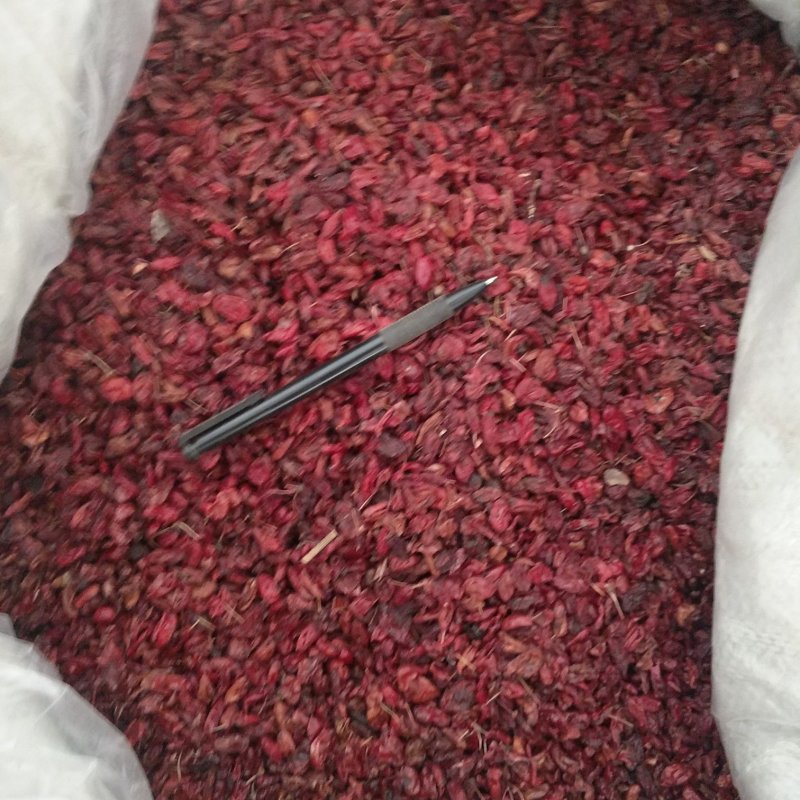 振兴药材批发供应山萸肉规格齐全产地直供一手货源全国发货