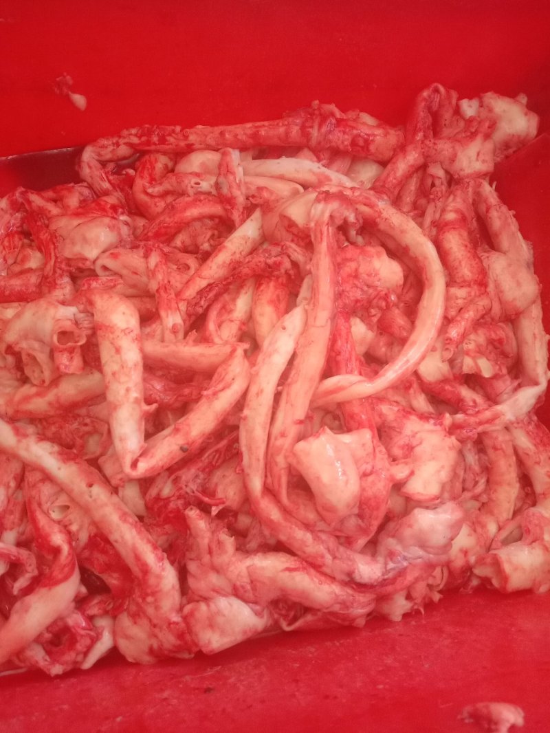 猪心管