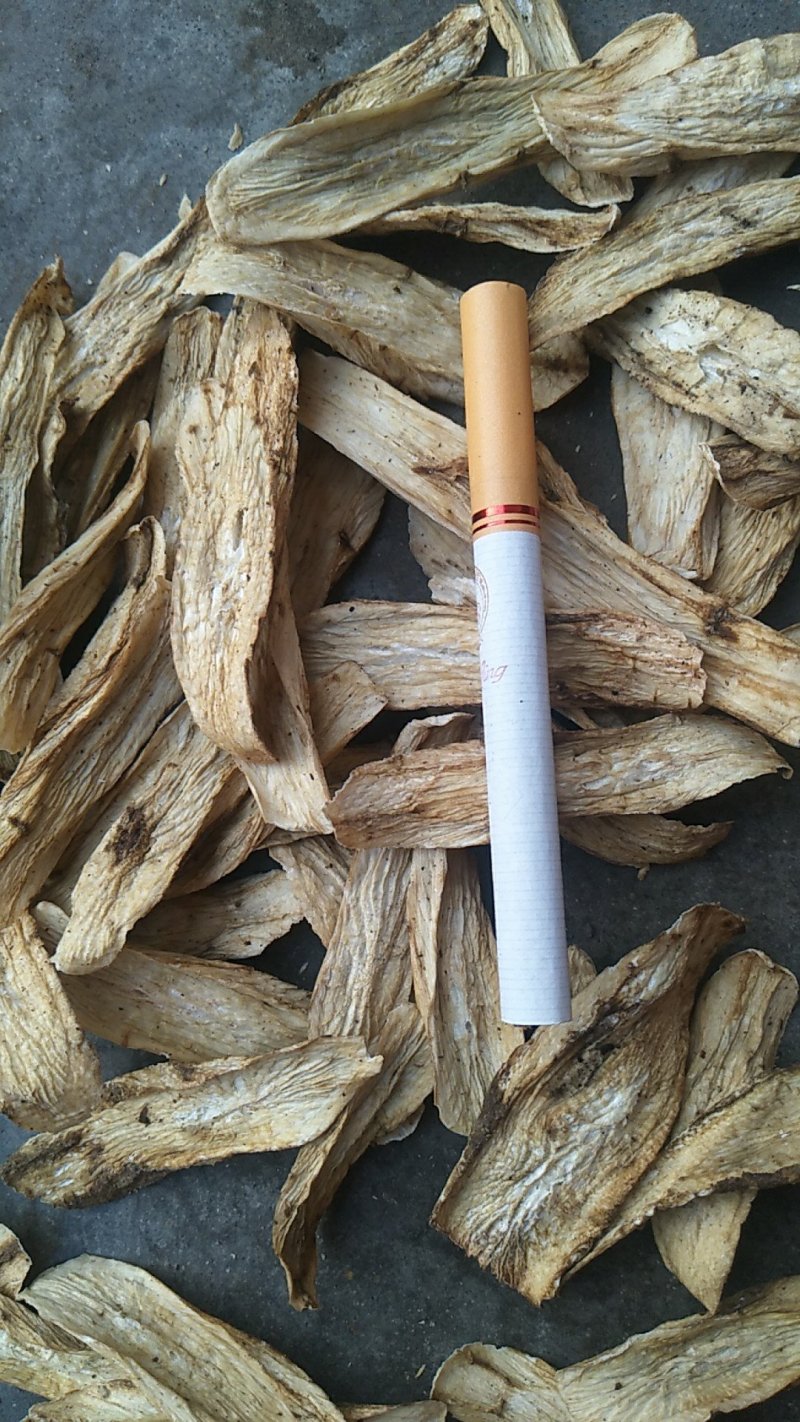 牛蒡茶片