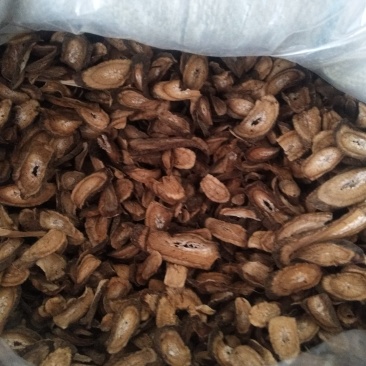牛蒡茶片