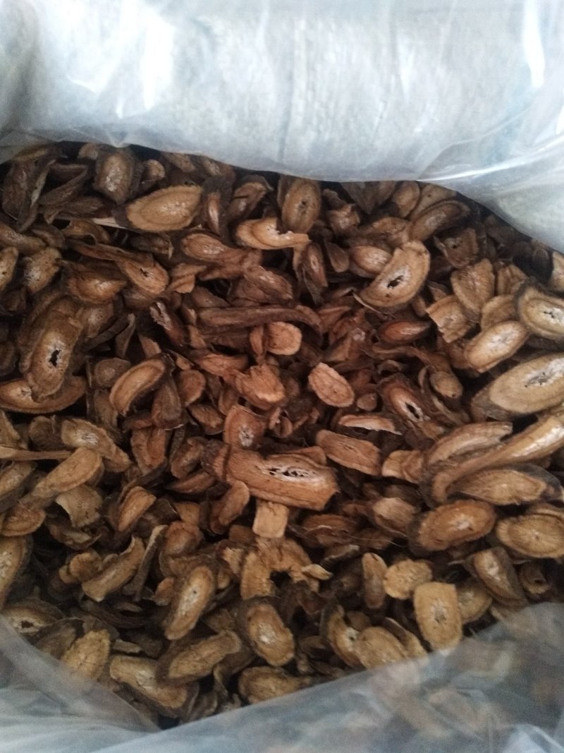 牛蒡茶片