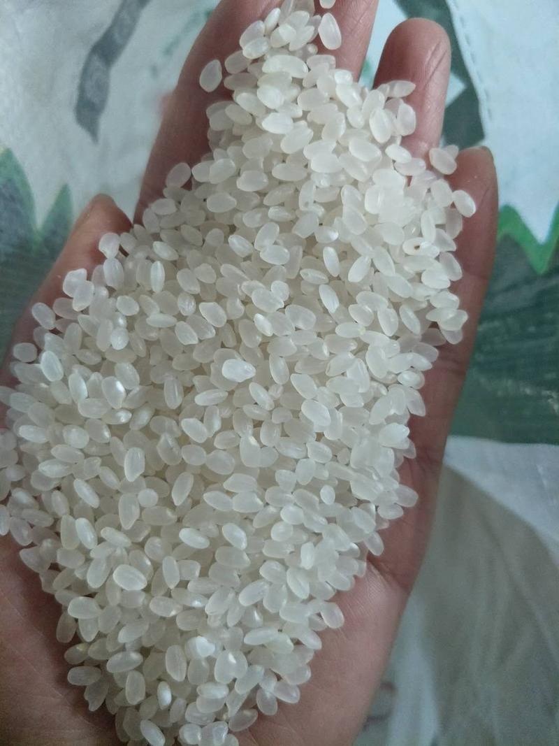 黑龙江建三江圆粒珍珠米，自产自销