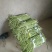 长豇豆条直货源充足量大从优，需要上货的客户赶快预订