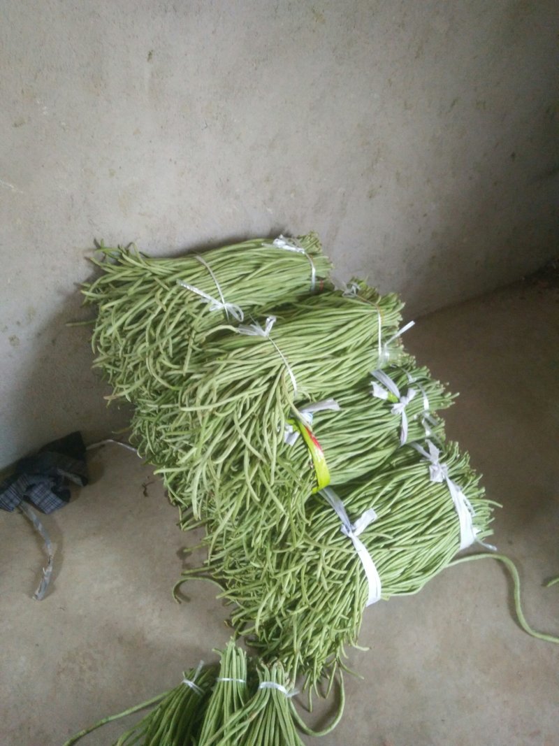 长豇豆条直货源充足量大从优，需要上货的客户赶快预订