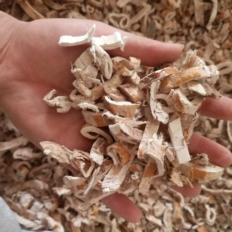 振兴药材批发供应桑白皮规格齐全产地直供一手货源全国发货
