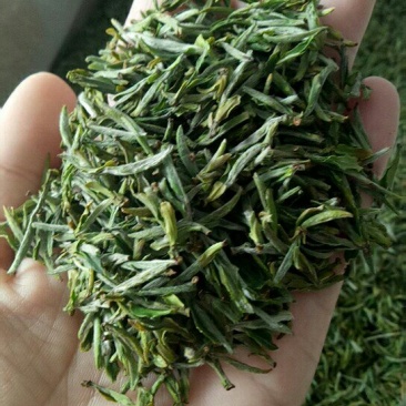 安徽岳西翠兰，自产自销，价格美丽