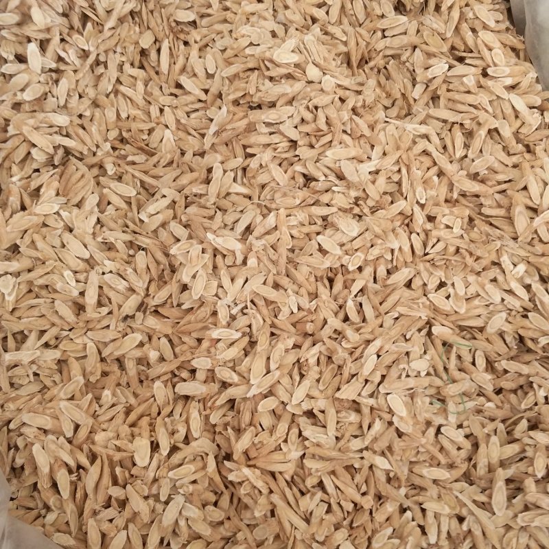振兴药材批发供应指甲黄芪规格齐全产地直供一手货源全国发货