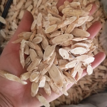 振兴药材批发供应指甲黄芪规格齐全产地直供一手货源全国发货