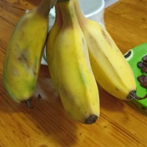 香蕉及南方各种水果