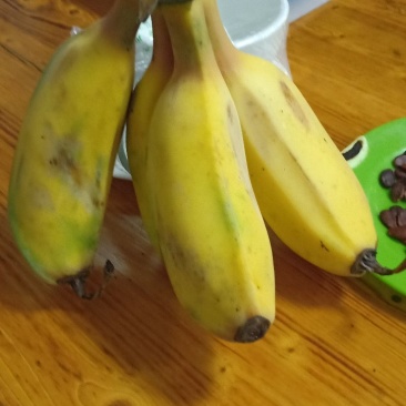 香蕉及南方各种水果