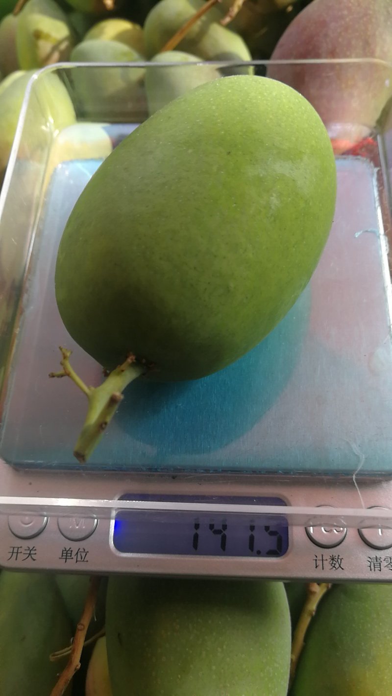 高品质攀枝花椰香大果标准果。