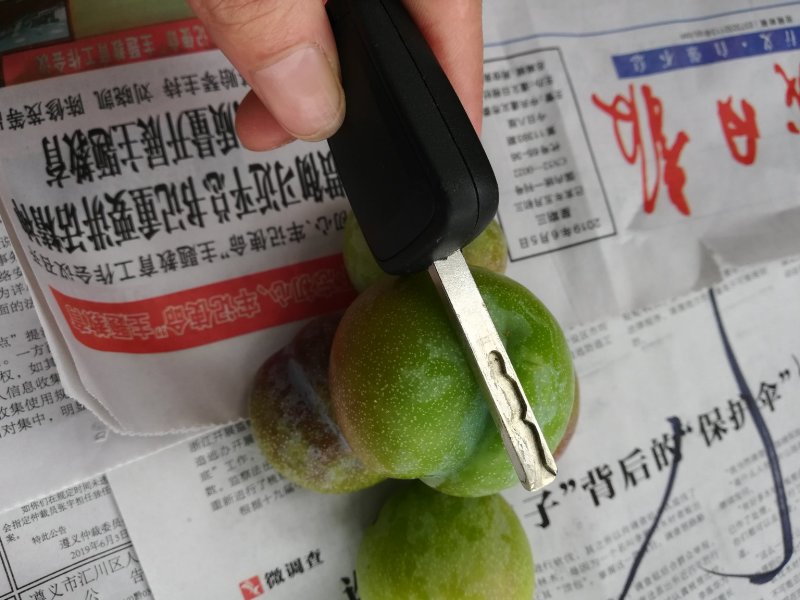 屏山李子半边红茵红李产地直供一手货源诚信第一