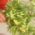 大户种植一百多亩精品沈鲜毛豆大量上市