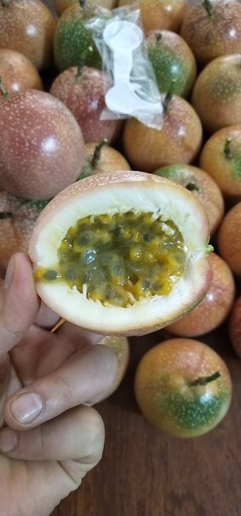 满天星百香果果苗，越南正宗