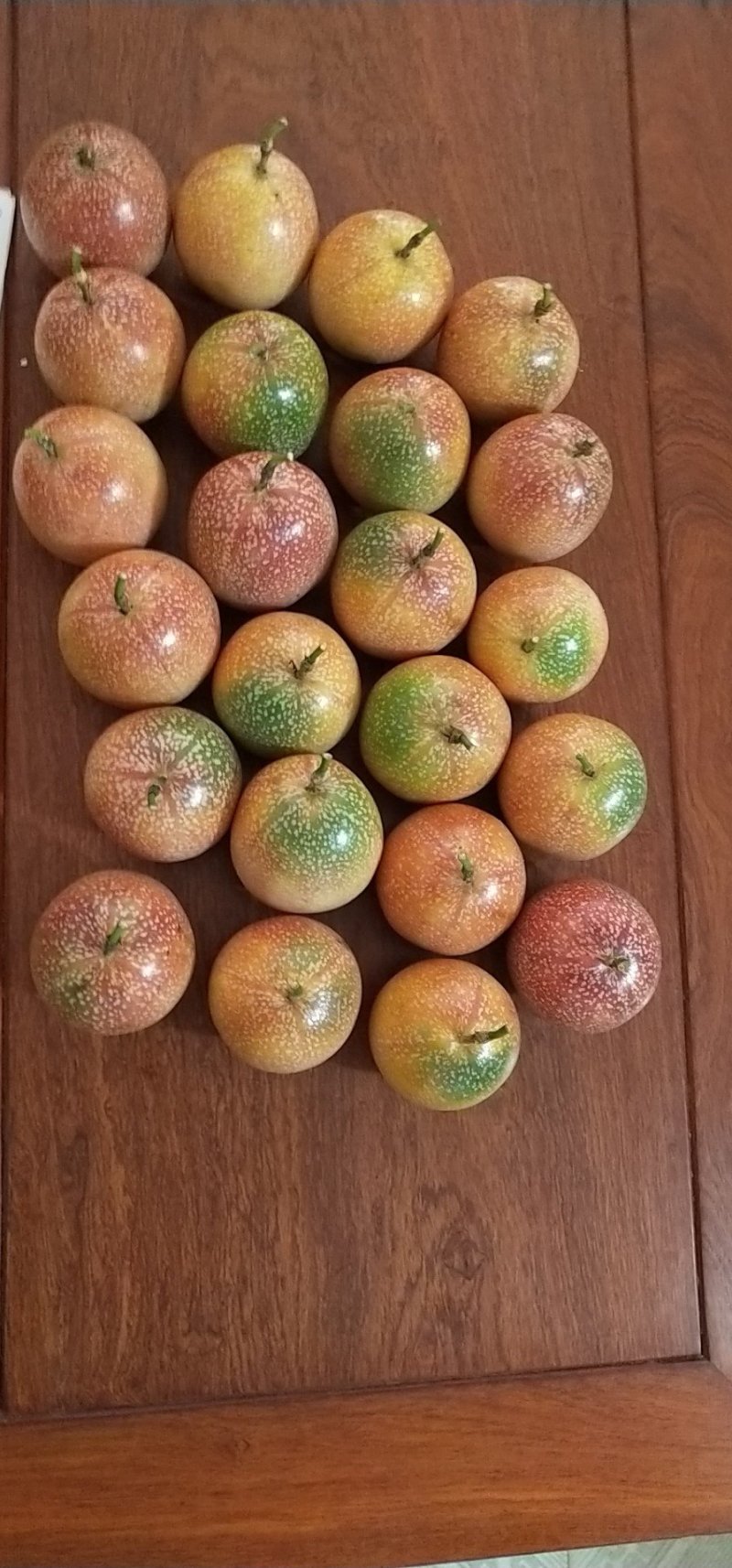 满天星百香果果苗，越南正宗