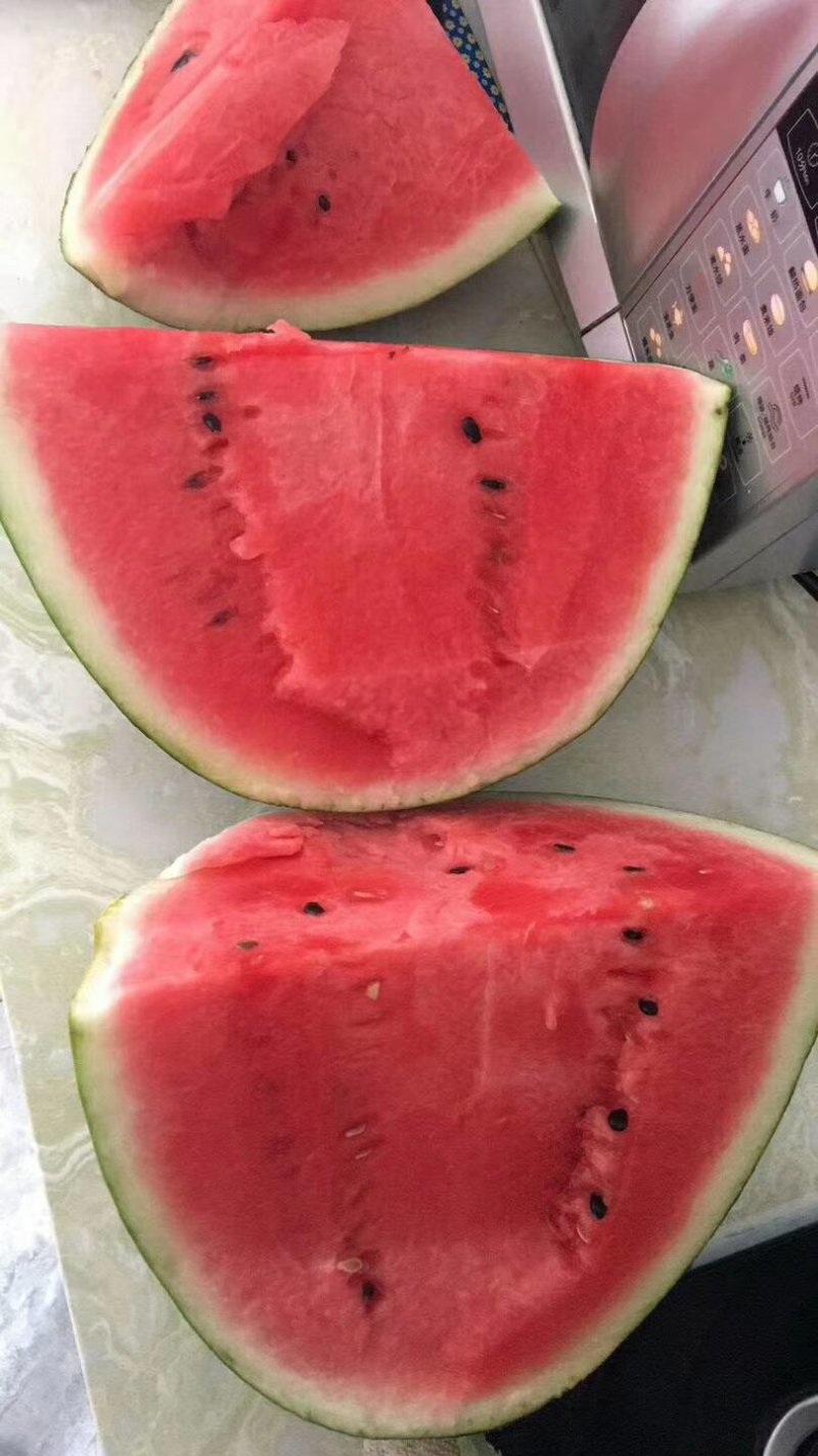 蒲城甜王西瓜大量上市，品质保证诚信经营货全国发货