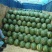 蒲城甜王西瓜大量上市，品质保证诚信经营货全国发货