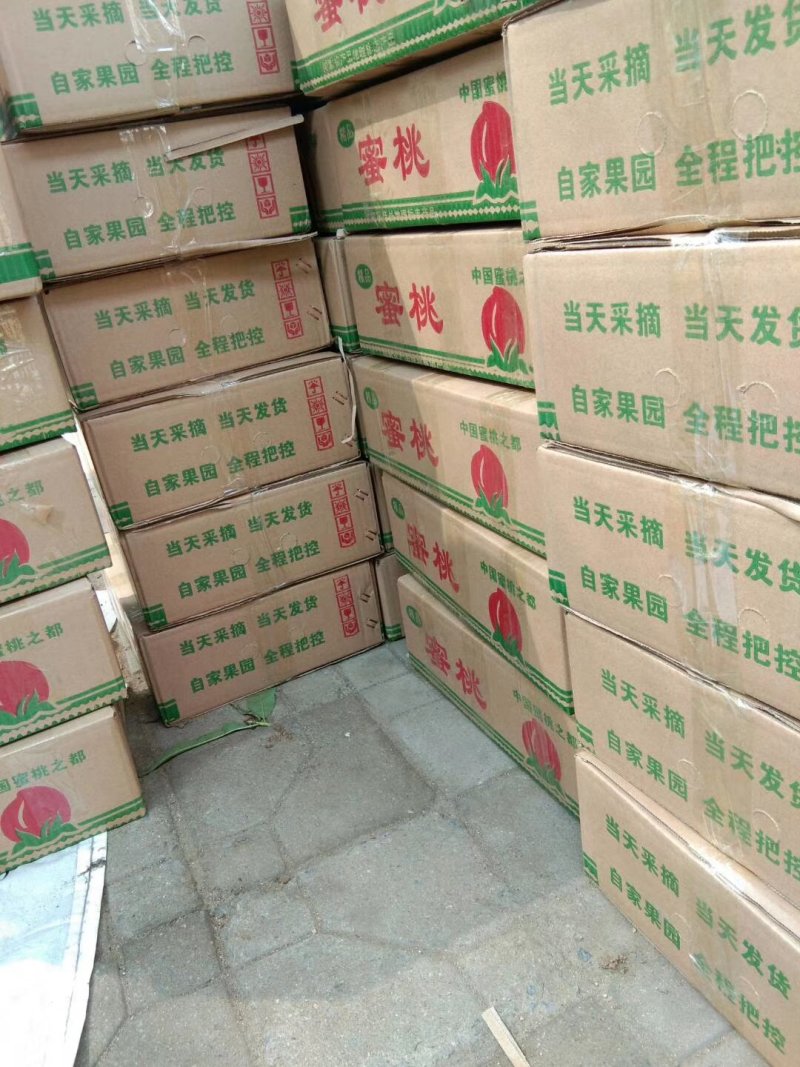 黄金蟠桃黄桃水蜜桃油蟠桃，新鲜采摘，果园直发
