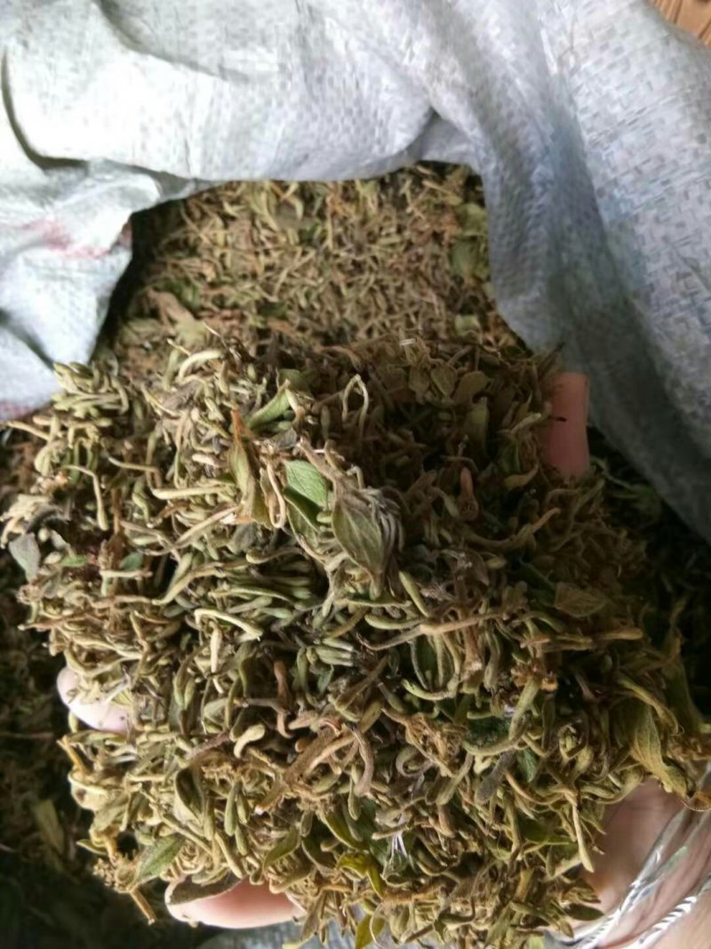 金银花