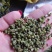 【精品】大红袍花椒自然晒干自产自销保质保量量大从优