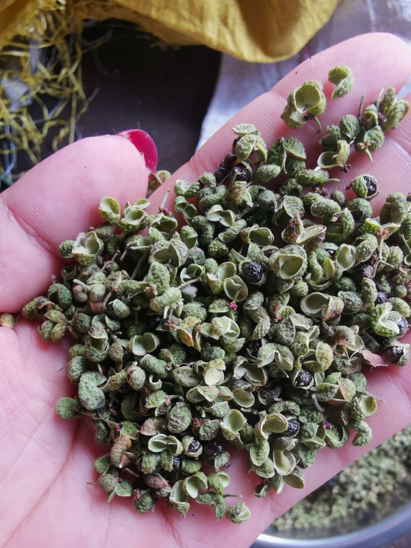 【精品】大红袍花椒自然晒干自产自销保质保量量大从优